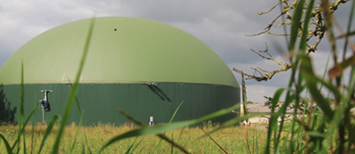 Landwirtschaftliches Unternehmen Halle/Saale