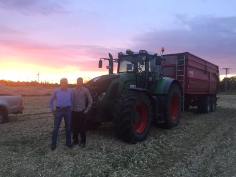 Landwirtschaftliches Unternehmen Halle/Saale