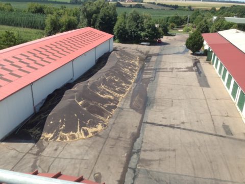 Landwirtschaftliches Unternehmen Halle/Saale