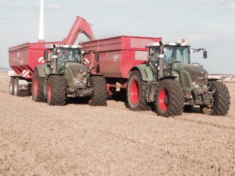 Landwirtschaftliches Unternehmen Halle/Saale